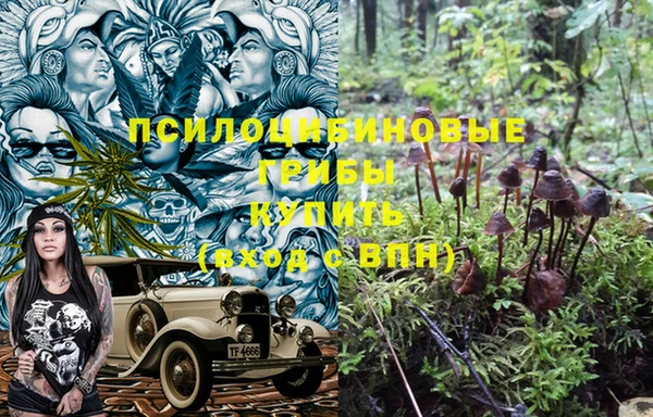 крисы Вяземский