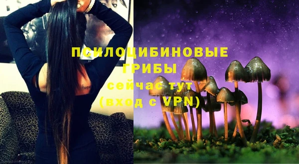 мескалин Медвежьегорск